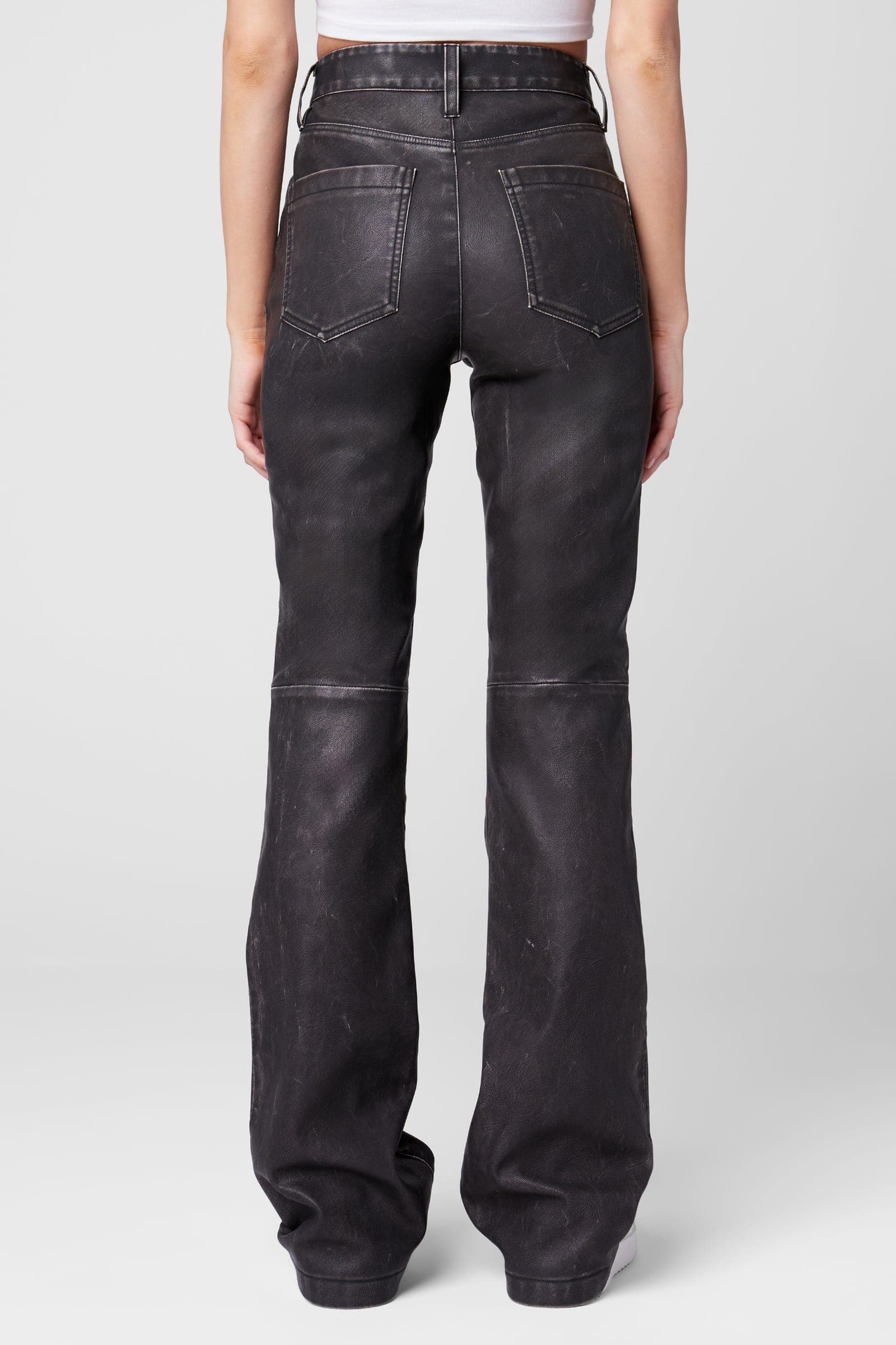 Hoyt in Lone Rider Pant